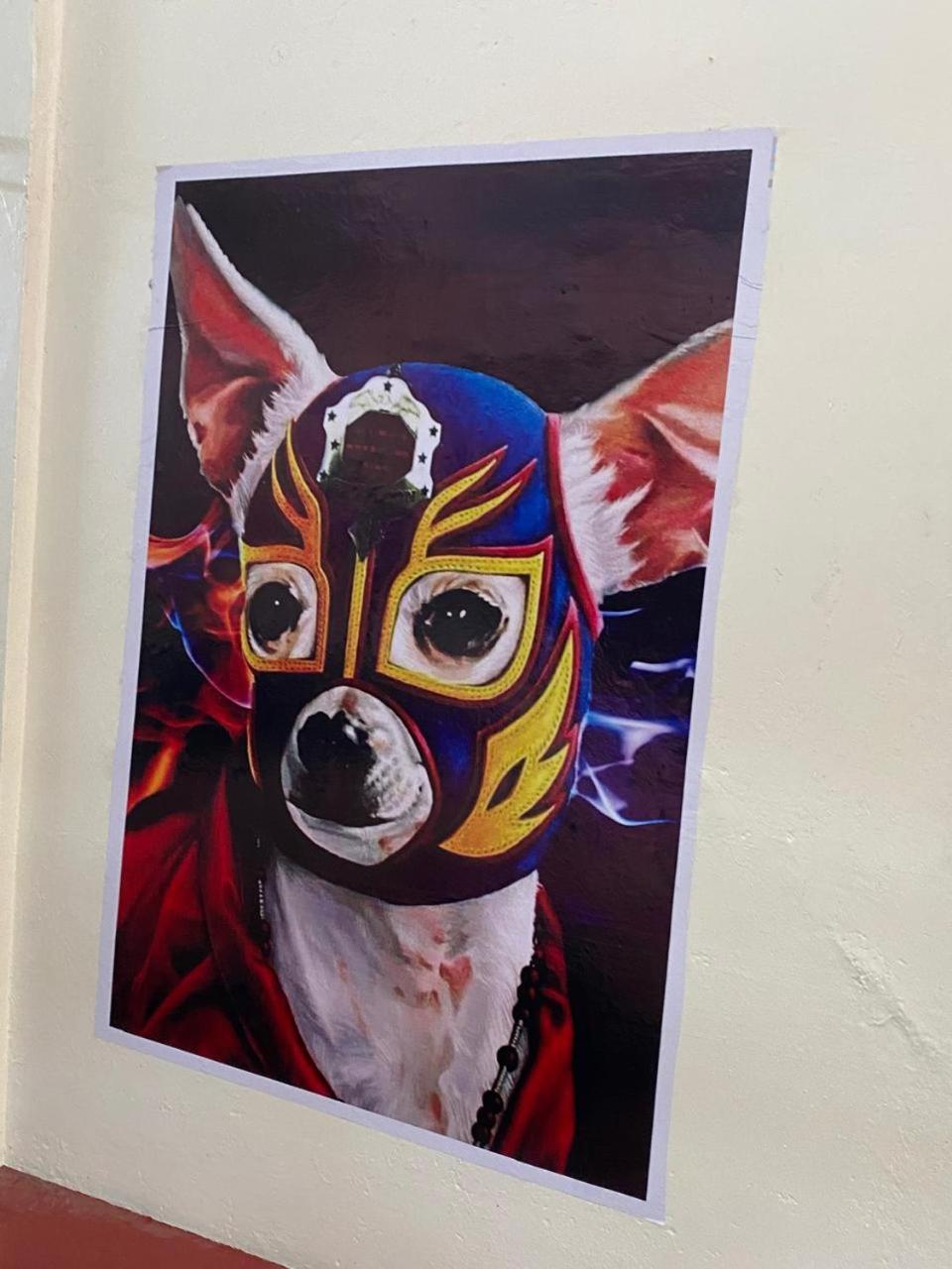 Mil Mascaras Hotell Oaxaca Exteriör bild